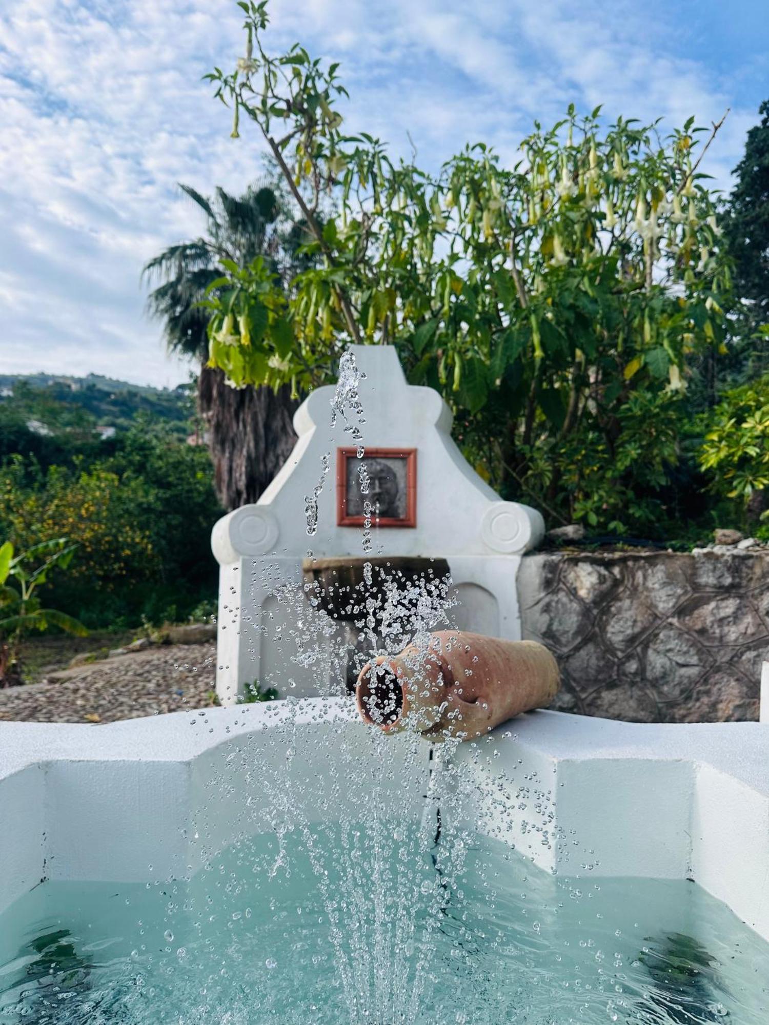 Villa Tiche Чефалу Екстериор снимка